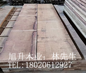 榄仁木供应 榄仁木价格 批发红褐榄仁木TER 红榄仁价格 榄仁木厂家